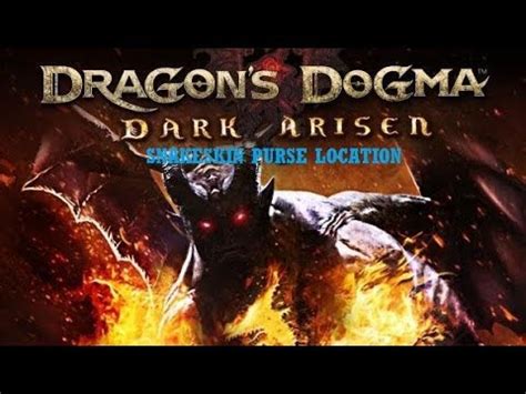 dragon's dogma dark arisen snakeskin purse.